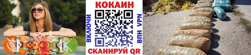 где можно купить   Белозерск  Кокаин Fish Scale 