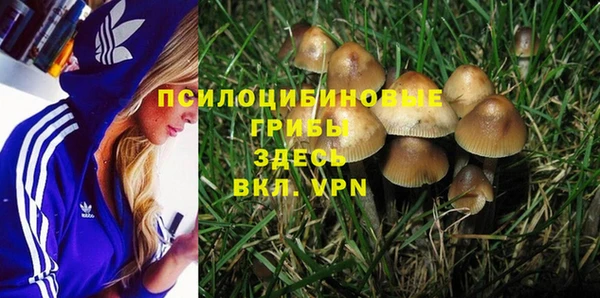 кокс Баксан