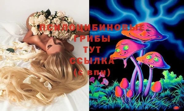 ПСИЛОЦИБИНОВЫЕ ГРИБЫ Балахна