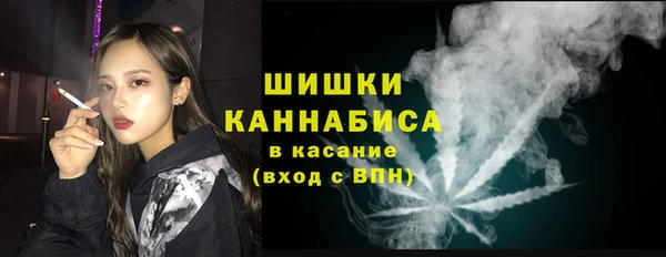 ПСИЛОЦИБИНОВЫЕ ГРИБЫ Балахна
