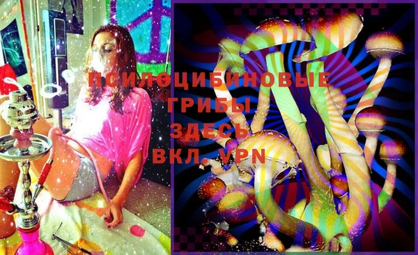 кокс Баксан