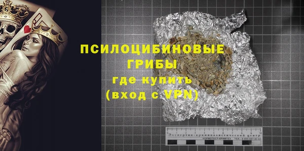 ПСИЛОЦИБИНОВЫЕ ГРИБЫ Балахна