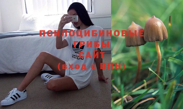 ПСИЛОЦИБИНОВЫЕ ГРИБЫ Балахна