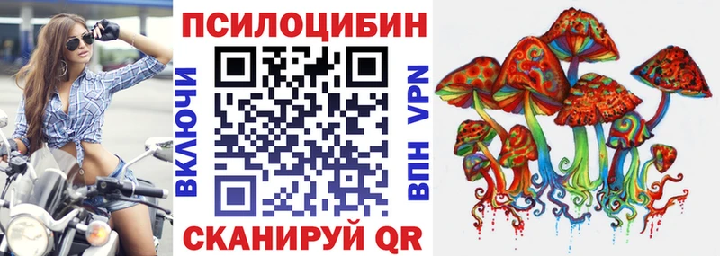 Галлюциногенные грибы Psilocybe  закладка  mega как войти  Белозерск 